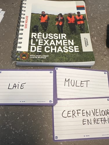 Customer photo review of OXFORD FLASH 2.0 flashcards # gelijnd, A7, pak van 80 stuks