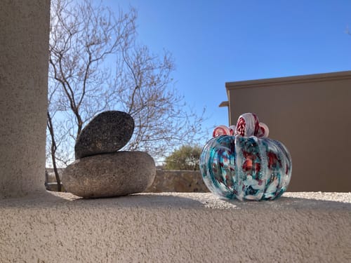 Customer photo review of Winter Frost Pumpkin