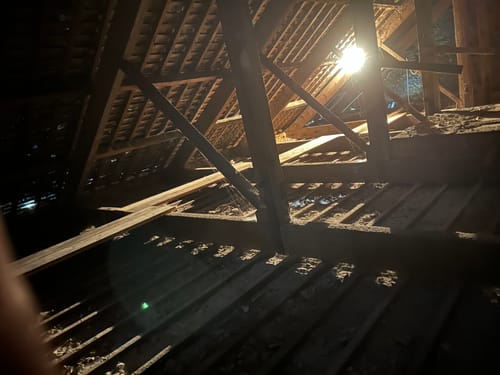 Customer photo review of Unbanded Scaffold Boards 2ft (0.6m) to 13ft (3.9m)