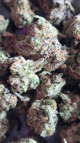 Customer photo review of Blue Biscotti Smalls