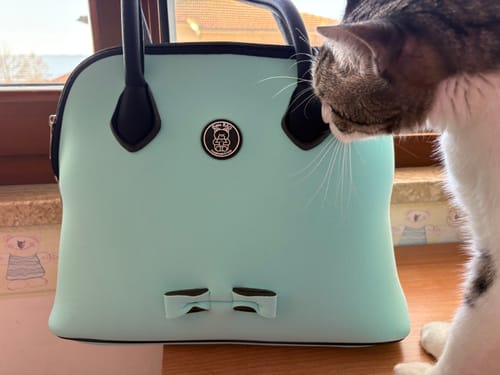 undefined review of Borsa Bugatti Grace (anche Mini) image 1 out of 1