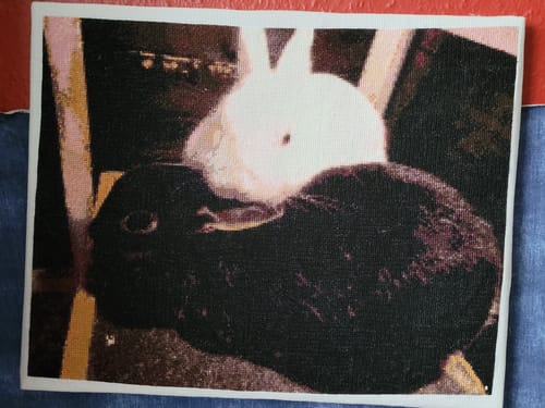 Customer photo review of Kreuzstich - Dein Wunschmotiv