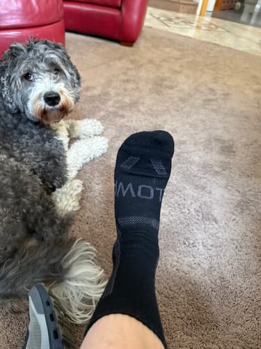 Customer photo review of Men's Alpaca Socks