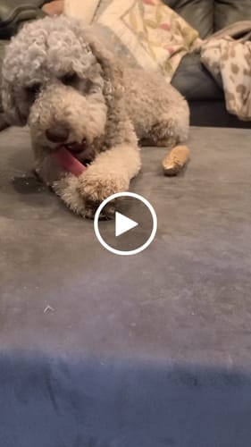 Customer video review of Crunchy Cheese Puffs