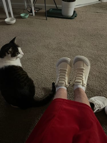 Customer photo review of Sorrel - Barefoot Shoes