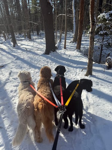 Customer photo review of Lead-All Pro Extra