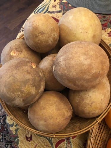 Customer photo review of Sapodilla (Nispero/Naseberry)