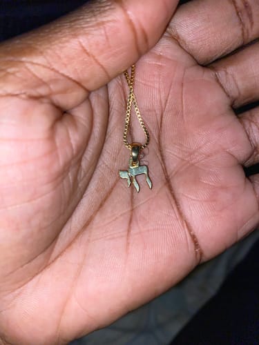 Customer photo review of Chai Necklace