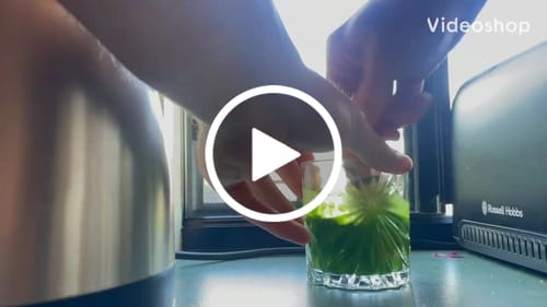 Jordan W. review of Artisan Premium Culinary Matcha (Latte) image 1 out of 1