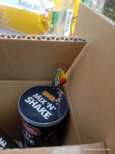 M. 0. review of 9FORTY A-Frame Trucker New York Mets Stone Royal Blue Snapback image 1 out of 1