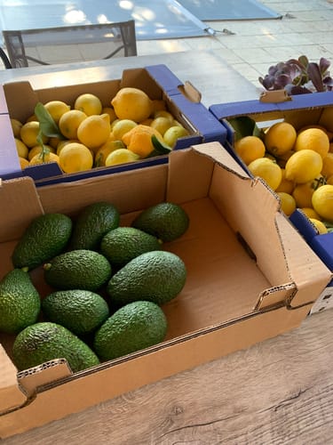 Liliane B. review of Citrons Bio - Origine Corse image 1 out of 1