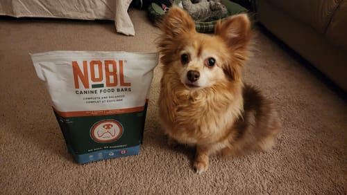 Customer photo review of Adult Canine Food Bars: Beef and Chicken Recipe - Bulk Bag 10.00% Off Auto renew