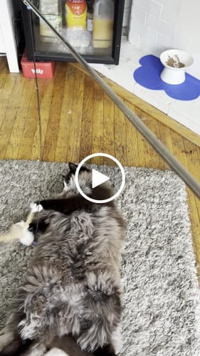 Customer video review of Magnetic Catch Wand