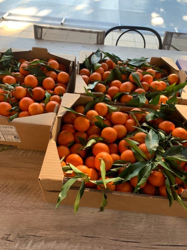 Liliane B. review of Clémentines Bio - Origine Corse image 1 out of 1