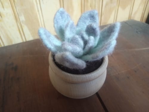 Customer photo review of Ghost Plant Succulent Mini Needle Felting Kit