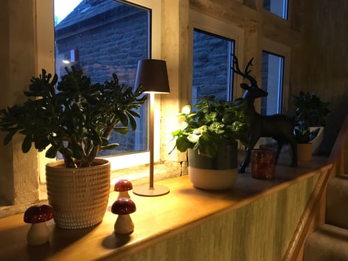 Customer photo review of LUMELIA - Cordless Table Lamp