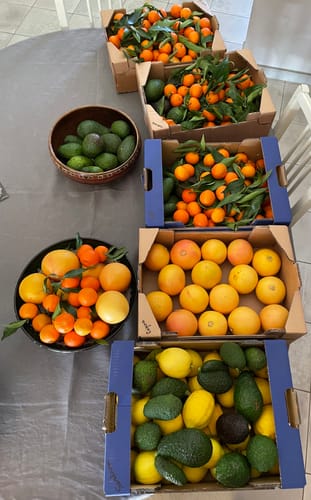 Magdeleine D. review of Avocats - Origine Corse image 1 out of 1