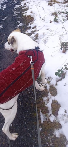 Customer photo review of Waterproof Schleppleine wasserfest - mit Handschlaufe