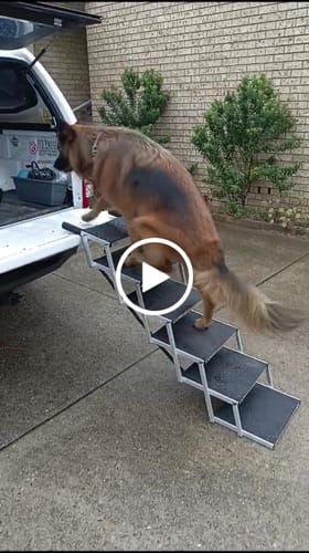 Customer video review of PaWz Foldable Aluminum Pet Steps