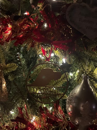Customer photo review of My Favorite Pet Ornament - Custom Dog or Cat Christmas Tree Ornament
