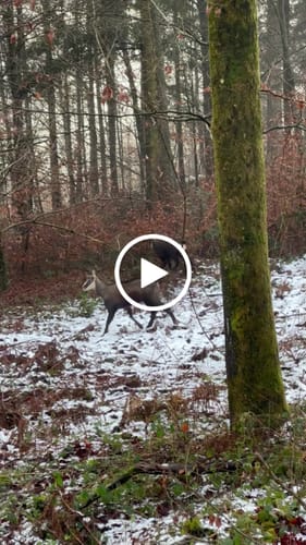 Customer video review of 2.0 ALPHA AEROGEL WASSERDICHTE JAGDSTIEFEL