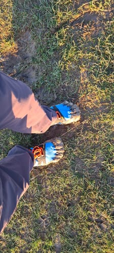Customer photo review of V-Trail 2.0 Mens Blue Orange