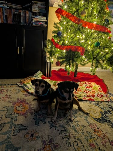 Customer photo review of FurLife Shipping Protection