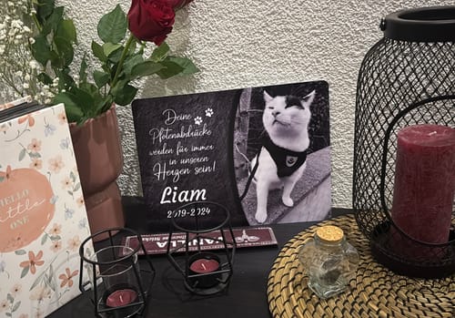 Customer photo review of Katzen Gedenktafel mit Foto & Spruch (UV- & Wetterfest)