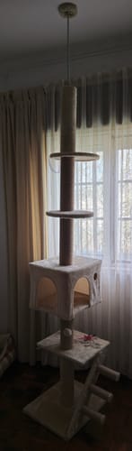 Customer photo review of Arranhador para Gatos do Chão ao Teto de 225-265 cm Arranhador para Gatos com Altura Ajustável Múltiplas Plataformas Escada Bola Suspensa Bege