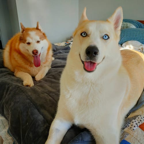 Customer photo review of Waterproof Splash Blanket™ - Stormy The OG