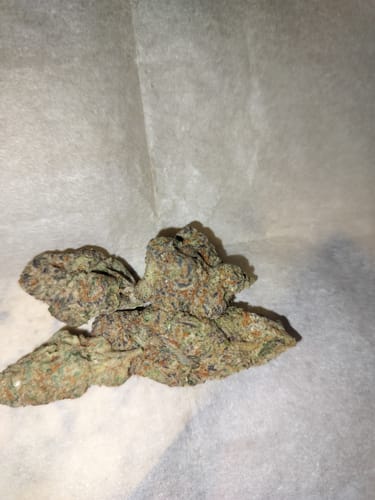 Customer photo review of Lemon Thunder Fuck