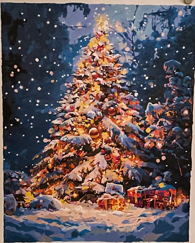 Customer photo review of Snowfall Splendor