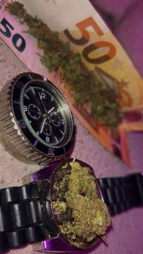 Customer photo review of Space Cookie - Premium <15%CBD