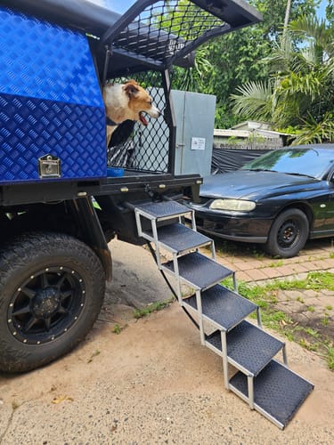 Customer photo review of PaWz Foldable Aluminum Pet Steps
