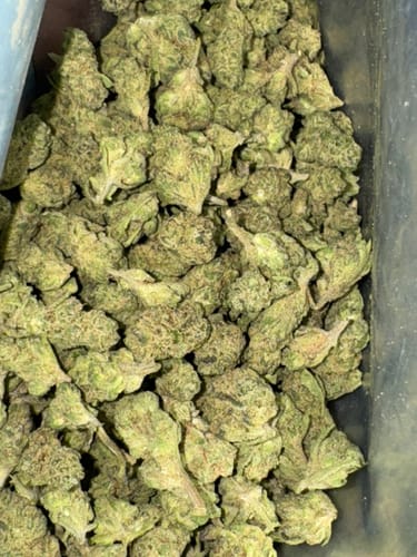 Customer photo review of Bulk THCA Smalls