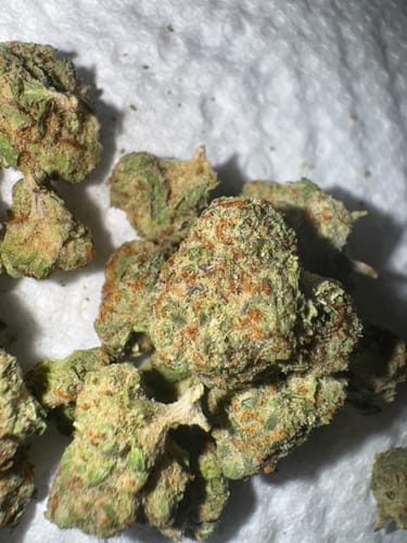 Customer photo review of Skywalker OG - Greenhouse THCA (Smalls)