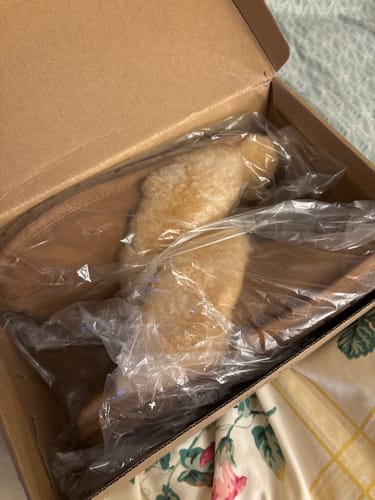 Customer photo review of Ladies Sheepskin Scuff