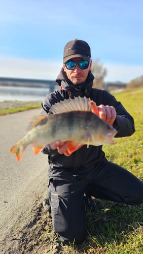 Customer photo review of Lure Drop