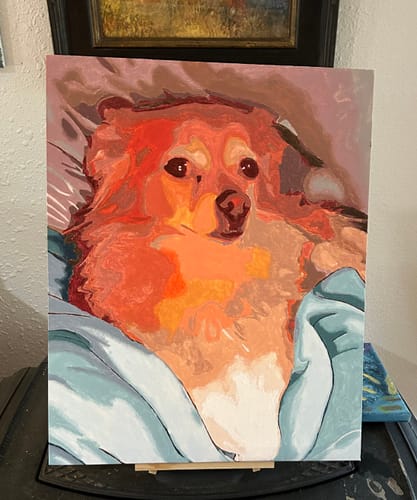 Customer photo review of Custom Paint By Numbers Kit