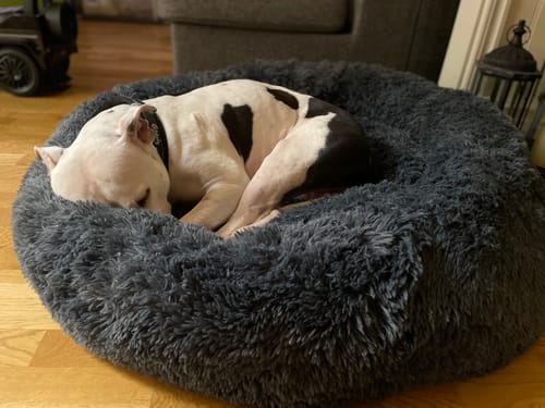 Customer photo review of CalmBed - Motverkar stress & hjälper mot ångest