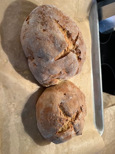 Customer photo review of gfJules Gluten Free Bread Mix