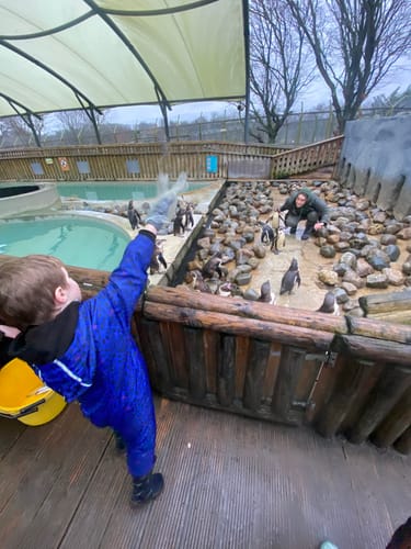 Customer photo review of TwinkleWheel