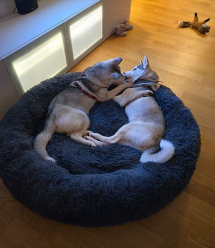 Customer photo review of CalmBed - Motverkar stress & hjälper mot ångest