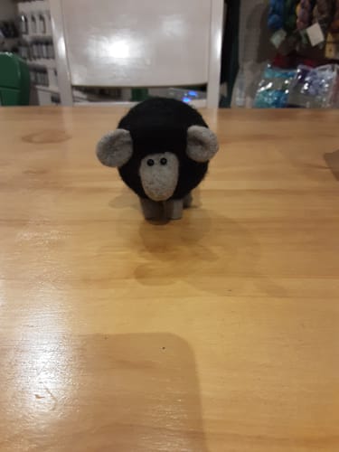 Customer photo review of Black Sheep Mini Needle Felting Kit