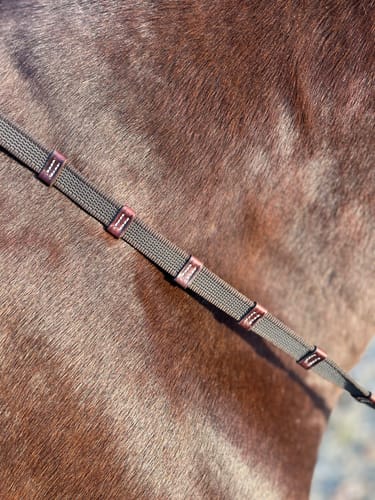 Customer photo review of Web Rubber Reins