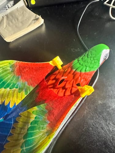 Customer photo review of Interactive Hanging Electric Bird Toy for Cats