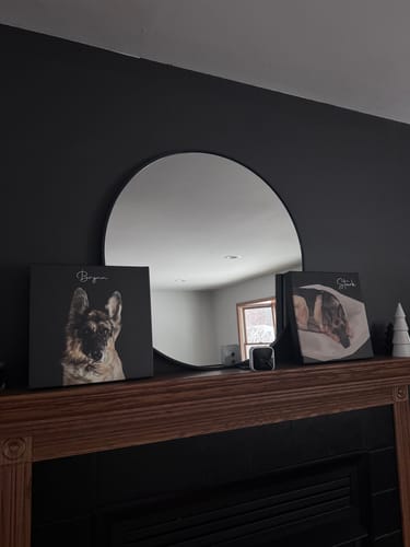Customer photo review of Pet Art Canvas Wrap