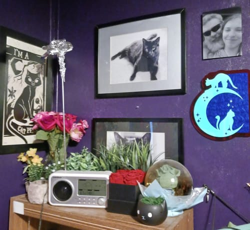 Customer photo review of Meow at the Moon Wall Art & Mirror
