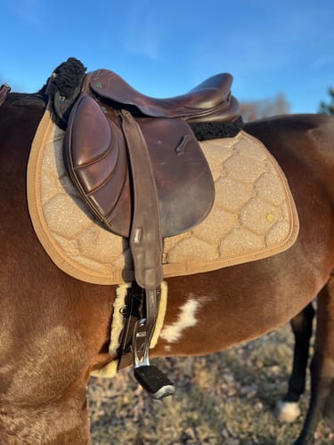 Customer photo review of Stability Mono Leathers