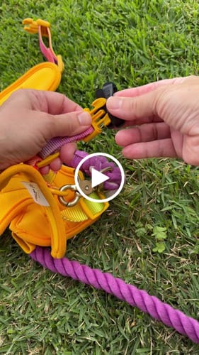 Customer video review of Bumblebee Jiby Dog Charm